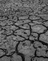 Stephan-Redel-0529-887-02006