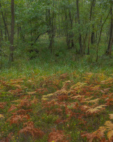 Stephan-Redel-0530-887-01995