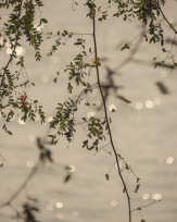 Stephan-Redel-0532-883-0154