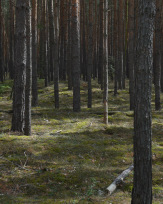 Stephan-Redel-0535-880-0004