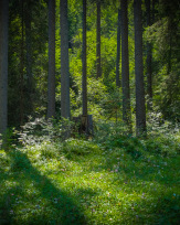 Stephan-Redel-0537-879-0145