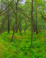 Stephan-Redel-0539-872-08873