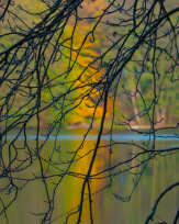 Stephan-Redel-0540-930-02295