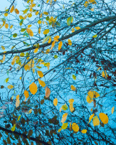 Stephan-Redel-0541-930-02302