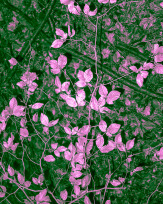 Stephan-Redel-0542-812-03750