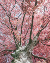 Stephan-Redel-0543-868-08319