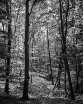 Stephan-Redel-0544-872-08618