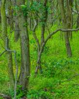 Stephan-Redel-0545-872-08862