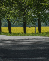 Stephan-Redel-0546-868-08293