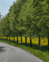 Stephan-Redel-0547-868-08275