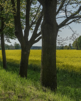 Stephan-Redel-0548-868-08265