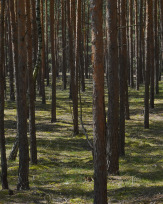 Stephan-Redel-0550-868-08183