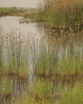 Stephan-Redel-0551-866-6187