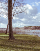 Stephan-Redel-0555-862-06061