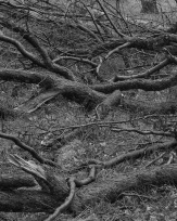 Stephan-Redel-0558-1005-00488