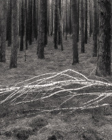 Stephan-Redel-0559-860-05997