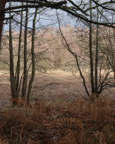 Stephan-Redel-0560-860-05972