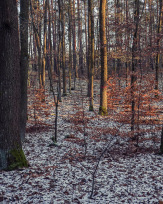 Stephan-Redel-0561-858-05849