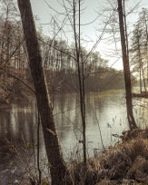 Stephan-Redel-0562-858-05842