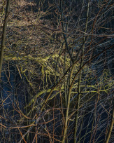 Stephan-Redel-0563-858-05841