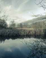 Stephan-Redel-0564-856-05802