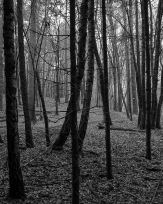 Stephan-Redel-0565-853-05593