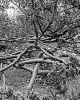 Stephan-Redel-0568-851-0526