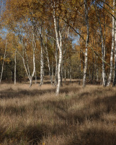 Stephan-Redel-0569-850-04183