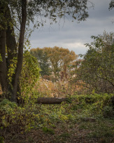 Stephan-Redel-0570-850-04076