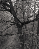 Stephan-Redel-0573-849-04004