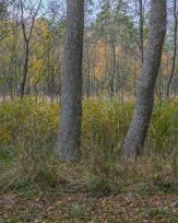 Stephan-Redel-0574-849-03969