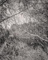 Stephan-Redel-0576-848-03585