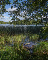 Stephan-Redel-0577-848-03293