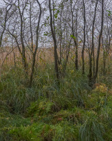 Stephan-Redel-0579-849-03978