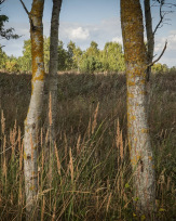 Stephan-Redel-0580-845-02047