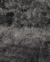 Stephan-Redel-0581-845-02064