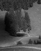 Stephan-Redel-0583-839-5959