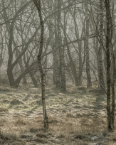 Stephan-Redel-0584-817-9477