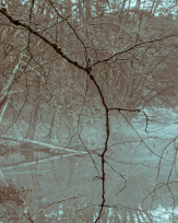 Stephan-Redel-0585-996-08350