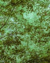 Stephan-Redel-0586-839-05678