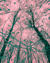 Stephan-Redel-0589-812-03752