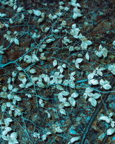 Stephan-Redel-0590-812-03749