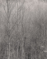 Stephan-Redel-0591-817-9480