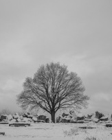 Stephan-Redel-0593-812-03700