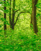 Stephan-Redel-0599-657-3450