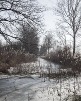 Stephan-Redel-0600-774-00011