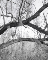 Stephan-Redel-0603-774-09966