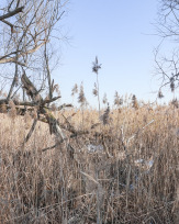 Stephan-Redel-0604-774-09963