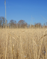 Stephan-Redel-0606-774-09948