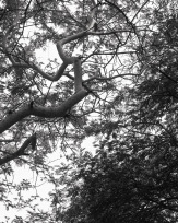 Stephan-Redel-0609-714-2557